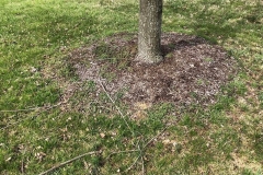 Photo-Apr-06-11-23-58-AM