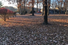Photo-Nov-21-7-28-46-AM