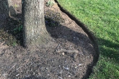 Photo-Apr-14-4-59-11-PM