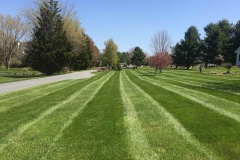 Photo-Apr-15-12-48-08-PM