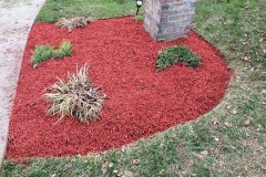 Photo-Apr-22-10-15-44-AM