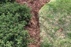 Photo-Apr-22-10-22-43-AM