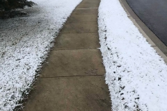 Photo-Feb-09-8-59-10-AM