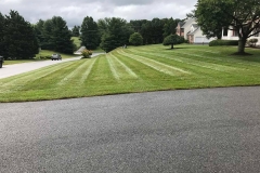 Photo-Jul-07-9-55-16-AM