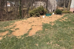 Photo-Mar-23-11-11-50-AM